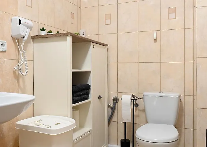 Dwupoziomowy, Duży Z Garażem I Sauną Apartament *