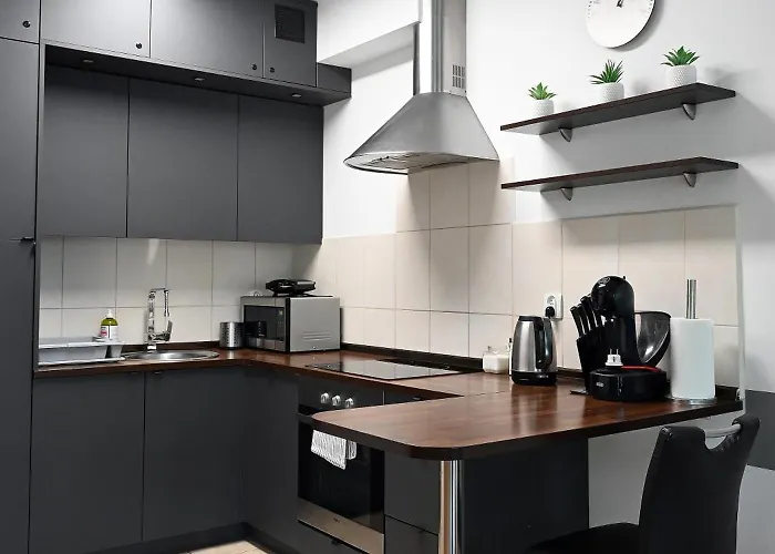 Dwupoziomowy, Duży Z Garażem I Sauną Apartament