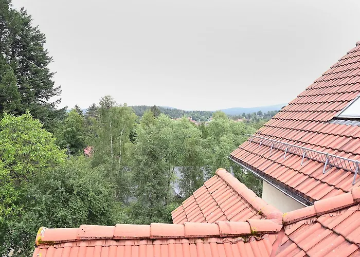 Dwupoziomowy, Duży Z Garażem I Sauną *