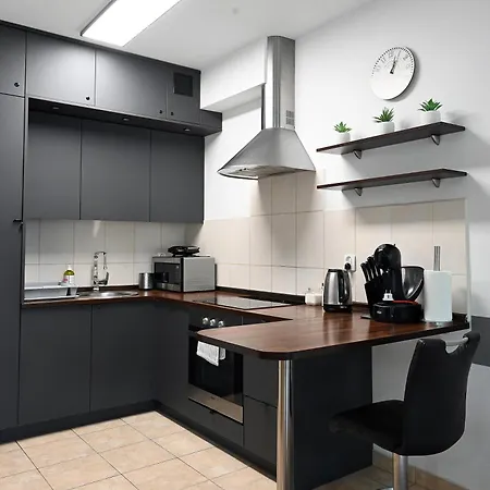 Dwupoziomowy, Duży Z Garażem I Sauną Apartament