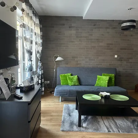 Apartment Dwupoziomowy, Duzy Z Garazem I Sauna *